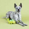 PetShop by Fringe Studio One In A Cha Million Dog Interactive Toy - 4 of 4