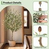 4FT-7FT Faux Olive Tree with Green Leaves and Big Fruits for Indoor and Outdoor - 4 of 4
