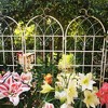 4 Pack Metal Garden Trellis 86.7" x 19.7" Rustproof Trellis for Climbing Plants Outdoor Flower Support Black - 3 of 4
