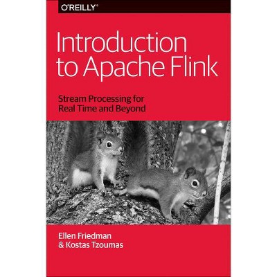 Introduction to Apache Flink - by  Ellen Friedman & Kostas Tzoumas (Paperback)