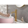 PAGED Single Hole Bathroom Sink Faucet,Stainless Steel Single Handle Bathroom Faucets for Home Sinks,Deck Mount 1 Hole or 3 Holes - 2 of 4