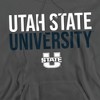 Utah State University Official Stacked Adult Pull-Over Hoodie - 2 of 4
