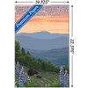 Trends International Lantern Press - Great Smoky Mountains Spring Flowers Unframed Wall Poster Prints - 3 of 4