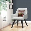 Decorative Throw Pillow_2 by Trademark Fine Art - 3 of 4