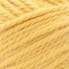 Lion Brand Re-Spun Thick & Quick Yarn-Sunshine - 2 of 2