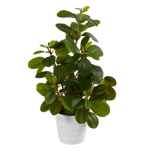 Nearly Natural 16-in Peperomia Artificial Plant in Decorative Planter - 1 of 4