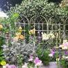 COMHOMA 2/4 Pack Metal Garden Trellis 71" x 19.7" Rustproof Trellis for Climbing Plants Outdoor Flower Support - 2 of 4