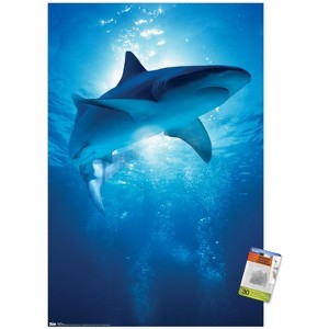 Trends International Shark - Depths Unframed Wall Poster Prints - 1 of 4