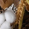30" Autumn Pine Nut Teardrop - 4 of 4