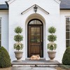 5FT Artificial Olive Triple Ball Topiary Trees with Moss & Inner Pot - 4 of 4