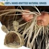 ZACHVO Handmade Natural Grass Nest for Small Pets - Bunny, Chinchilla, Hamster - 4 of 4