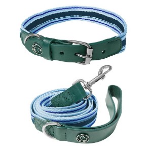 Paaaawaters Adjustable Dog Collar and Leash Set for Small Medium Large Dogs (Collar+Leash -Neck 12”-32”) - 1 of 4