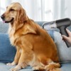SUGIFT Handheld Vacuum Cordless, 16000Pa Car Vacuum Cleaner with 4-in-1 Function, Lightweight Mini Vacuum for Car, Home & Office - 2 of 4