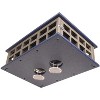 JCS Wildlife Recycled Poly Lumber Deluxe Caged Platform Bluebird Feeder - 3 of 4