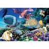TDC Games World's Smallest Jigsaw Puzzle - The Life Aquatic - Measures 4 x 6 inches when assembled - Includes Tweezers - 2 of 3