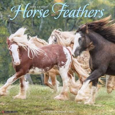 2022 Wall Calendar Horse Feathers - Willow Creek Press