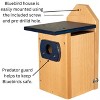 Cedar Standard Bluebird House (Blue) - 4 of 4