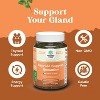 Vegan Thyroid Gummies with Sea Moss, Thyroid Support Gummies for Comprehensive Support for Men and Women with Iodine Selenium, Nature's Craft, 90ct - 2 of 4