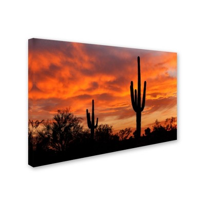 Trademark Fine Art -Mike Jones Photo 'Saguaros Amazing Sunset 5' Canvas Art