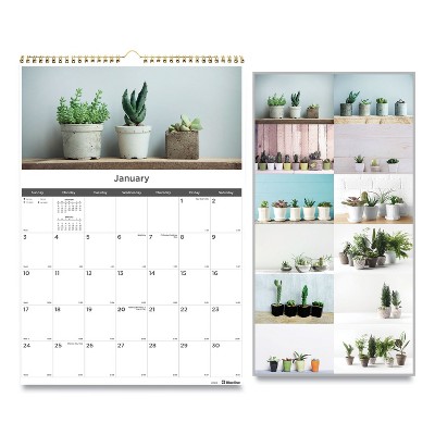 Blueline 12-Month Wall Calendar 12 x 17 Succulent Plants 2022 C173121