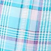 paradise blue plaid