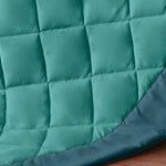 peacock turquoise