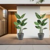 Kozyard Planter Indoor Outdoor Plant Pots with Tray Collecting Water for Tall Plants, Flowers - 4 of 4