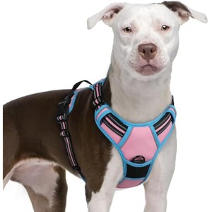 rabbitgoo Dog Harness No Pull with 2 Leash Clips, Control Handle for Large Dogs, Pink & Blue, XL - 1 of 1