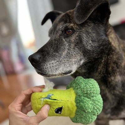 Bark Eduardo The Shrimp Taco Dog Toy : Target