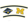 NCAA Michigan Wolverines 24oz First String Classic Tumbler - image 2 of 3