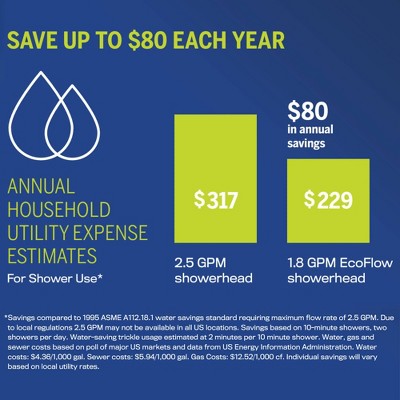 Waterpik Chrome 4-Mode Handheld Shower Head with Pulse