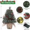 Acekool 24-Inch Snow-Touched Tabletop Tree: Ready-to-Glow Seasonal Display - 3 of 4