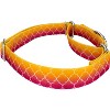Country Brook Petz Martingale Dog Collar - Abstract Collection - 3 of 4