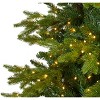 Nearly Natural 10-ft Belgium Fir Natural Look Artificial Christmas Tree with 1050 Clear LED Lights - 3 of 4