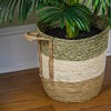 42" x 28" Artificial Palm Plant in Basket - LCG Florals: Indoor Faux Floor Plant, Polyester Greenery in Wicker Basket - 4 of 4