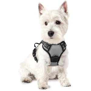 rabbitgoo Dog Harness No Pull with 2 Leash Clips, Control Handle for Puppy, Grey, XS - 1 of 1
