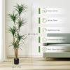 Nasitip Artificial Dracaena Tree, Realistic Fake Dracaena Plant, Tall Dracaena Houseplant for Indoor Décor, Adjustable Lifelike Faux Tree - 3 of 4