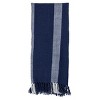 Striped Outdoor Throw Blanket Blue Polyester by Foreside Home & Garden - 4 of 4