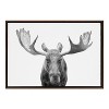 Kate & Laurel All Things Decor Sylvie Moose Black and White Framed Wall Art by Amy Peterson Art Studio Brown - image 2 of 4