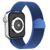 Waloo Magnetic Mesh Band For Apple Watch Series 10/9/8/7/6/5/4/3/2/1/SE/Ultra - 2 of 3
