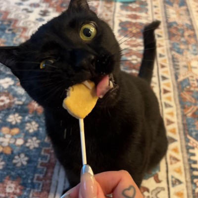 Bonkers Purrpops Chicky Licks Chicken Flavor Lollipop Freeze-dried Cat ...