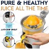Eurolux Die Cast Stainless Steel Electric Citrus Juicer, 300W of power, 2 Filters - 4 of 4
