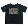 NCAA Colorado Buffaloes Toddler Boys' 2pk T-Shirt - 2 of 3