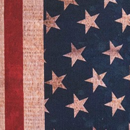 american flag 1
