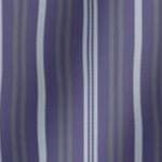 dark purple stripe