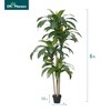 DR.Planzen 4-6FT Artificial Dracaena Tree with Realistic Leaves - Faux Indoor/Outdoor Plant, Tall Fake House Plant for Tropical Home Decor - 4 of 4