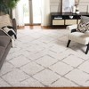 Arizona Shag ASG743 Power Loomed Indoor Rug -Safavieh - 2 of 4