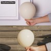 PartyWoo Balloons White Sand Beige Cream Ivory Small Mini 5 Inch 120 pcs - 4 of 4