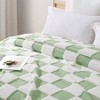 Checkered Throw Blanket, Super Soft Fluffy Fleece, Sage Green, 50x60 Inches - 3 of 4