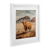 Stupell Industries Cow Of The Desert Framed Print Under Glass - 2 of 4